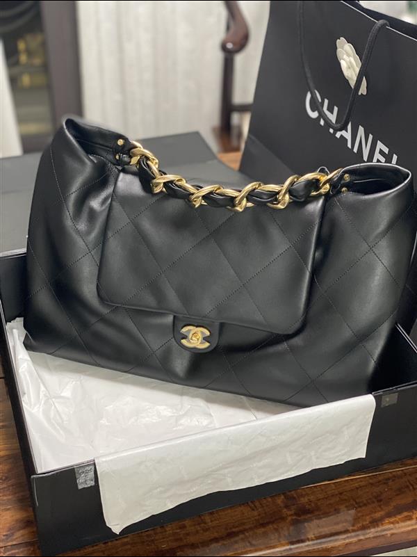 2026131204556229 900